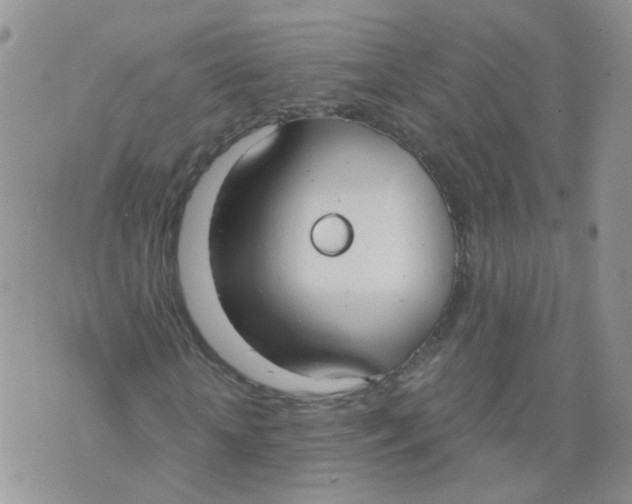 X0000073920818200609011807