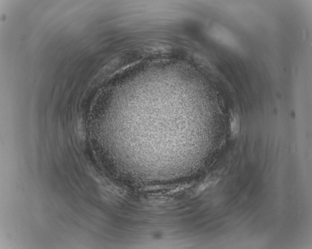 X0000073920819200609011807