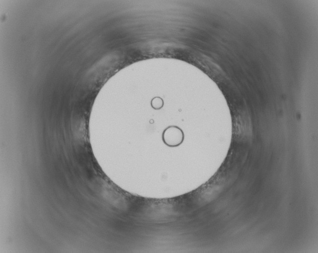 X0000073920820200609011807