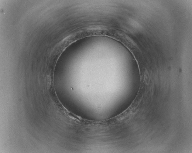 X0000073920821200609011807