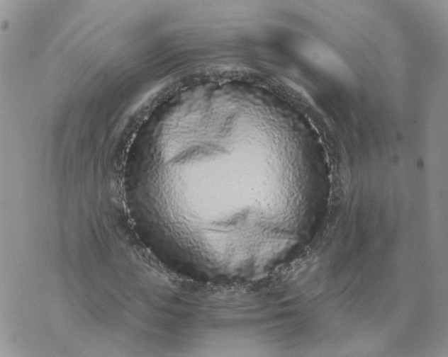 X0000073920823200609011807