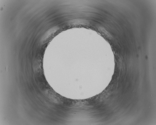 X0000073920824200609011807