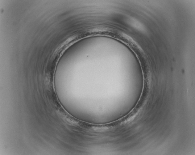 X0000073920825200609011807