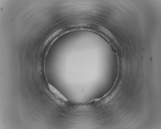 X0000073920826200609011807