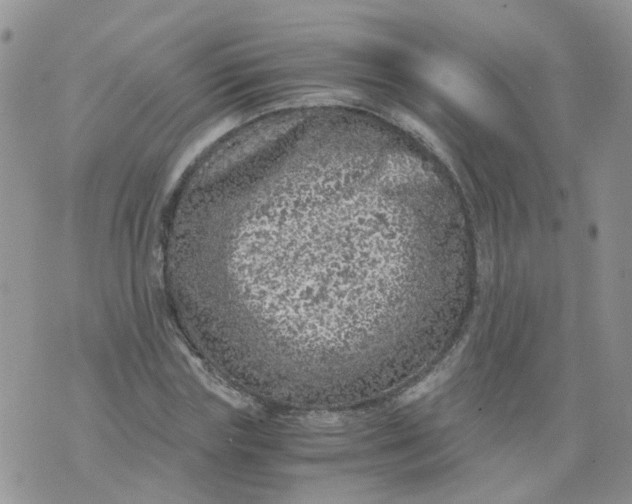 X0000073920827200609011807