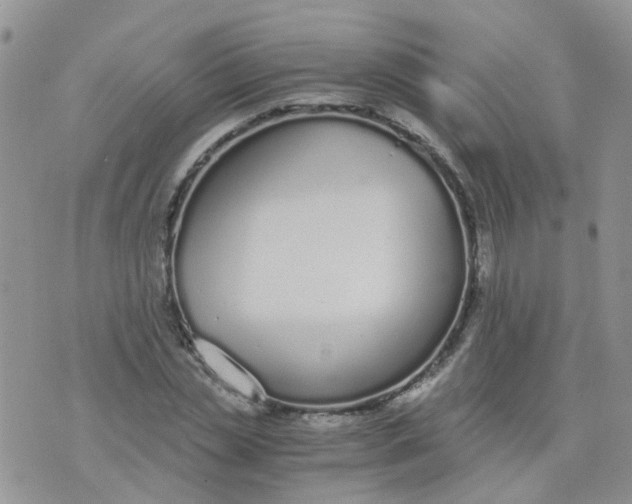 X0000073920829200609011807