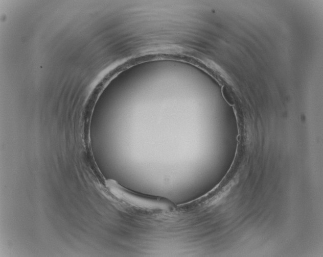 X0000073920830200609011807