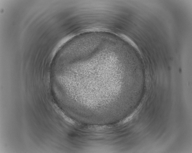 X0000073920831200609011807