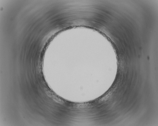 X0000073920832200609011807