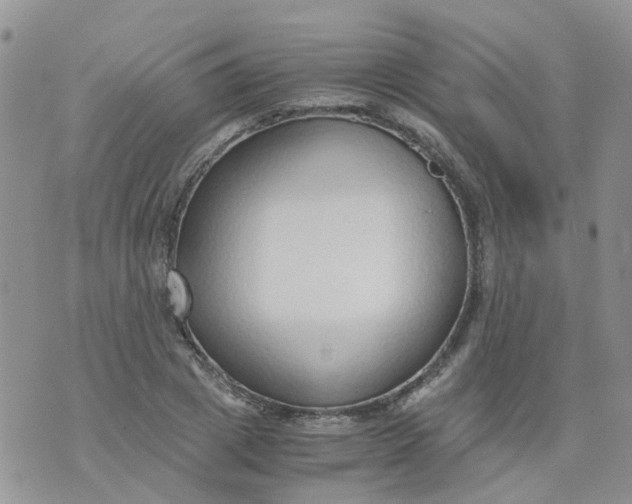 X0000073920833200609011807