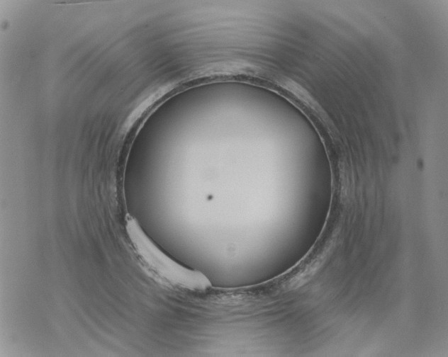 X0000073920834200609011807