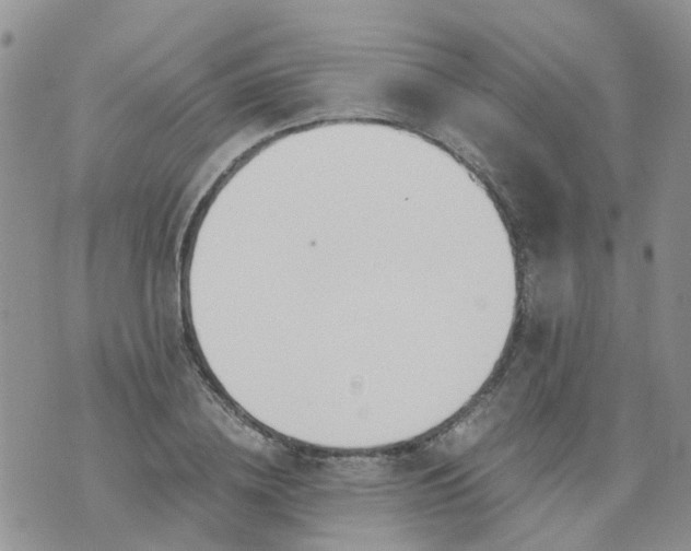 X0000073920836200609011807