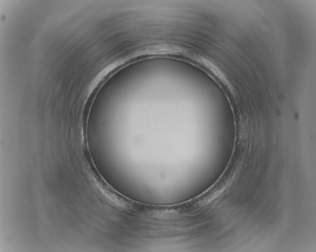 X0000073920837200609011807