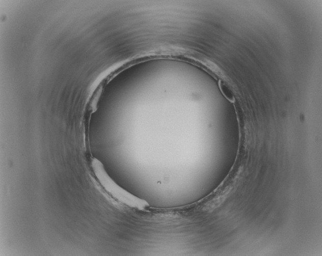 X0000073920838200609011807