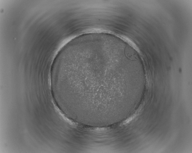 X0000073920839200609011807