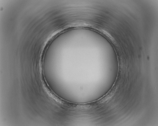 X0000073920840200609011807