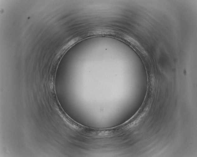 X0000073920841200609011807