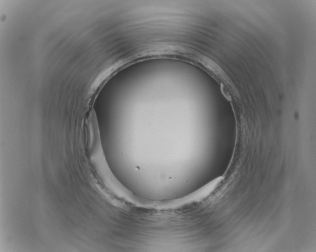 X0000073920842200609011807