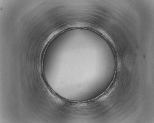 X0000073920845200609011807