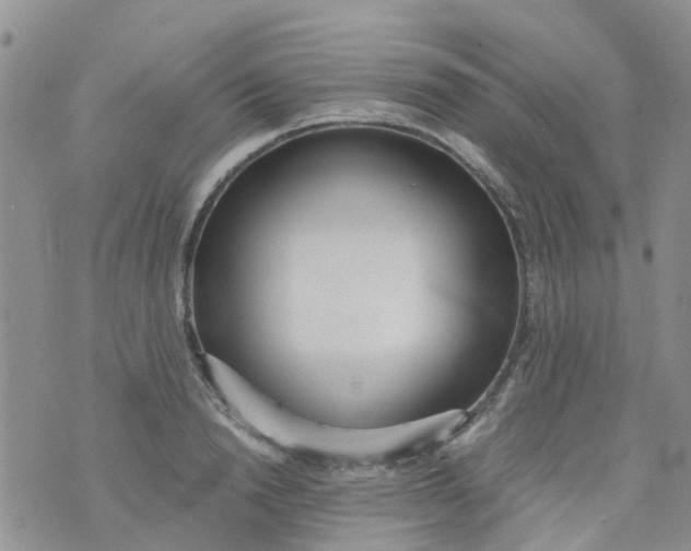 X0000073920846200609011807