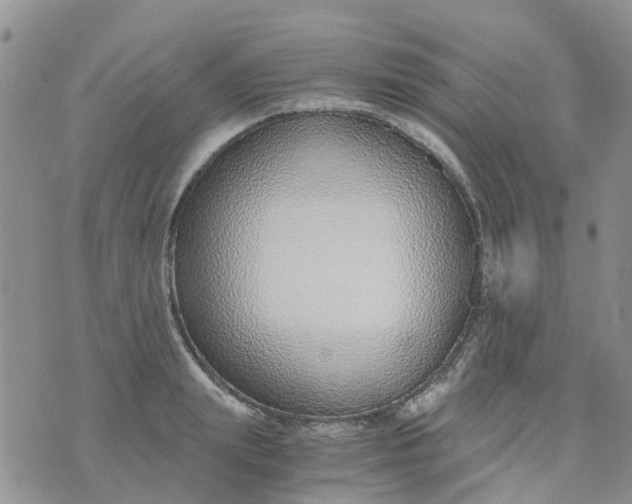 X0000073920847200609011807