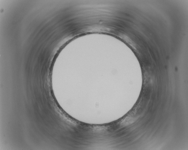 X0000073920848200609011807