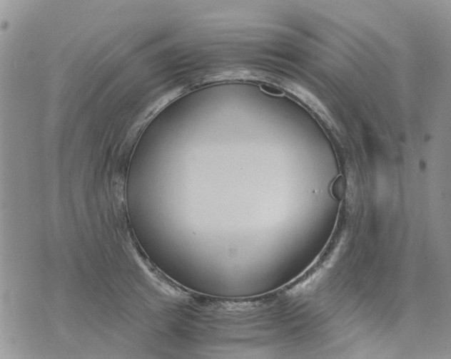 X0000073920849200609011807