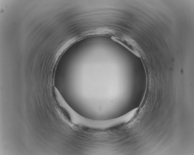 X0000073920850200609011807