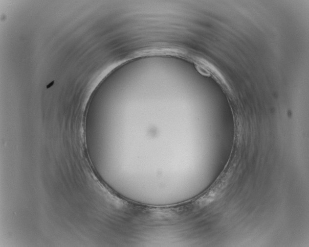 X0000073920852200609011807