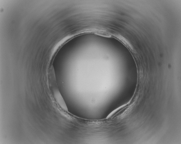 X0000073920854200609011807