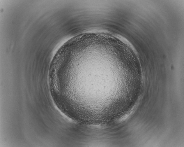 X0000073920855200609011807