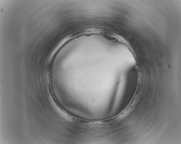 X0000073920859200609011807