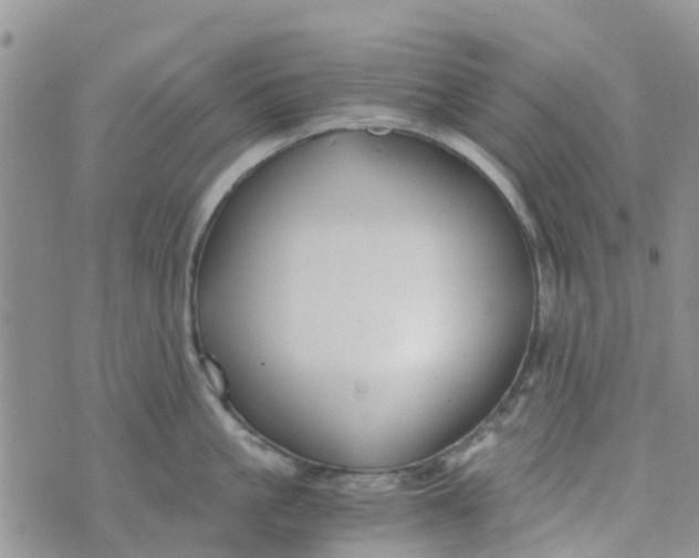 X0000073920861200609011807