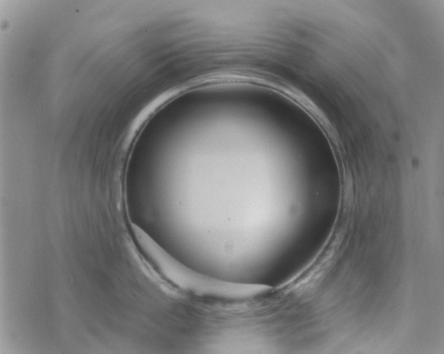 X0000073920862200609011807