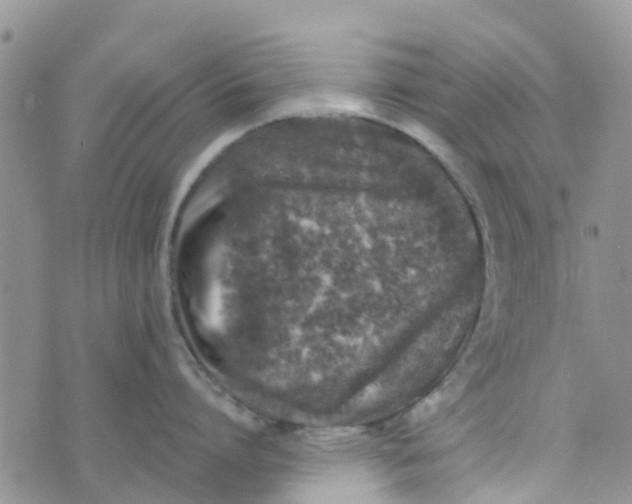 X0000073920864200609011807