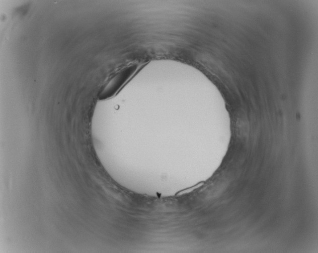 X0000073920865200609011807