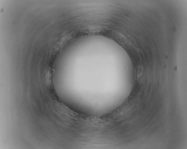 X0000073920866200609011807