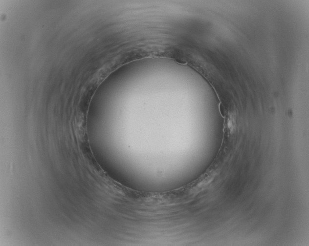 X0000073920867200609011807