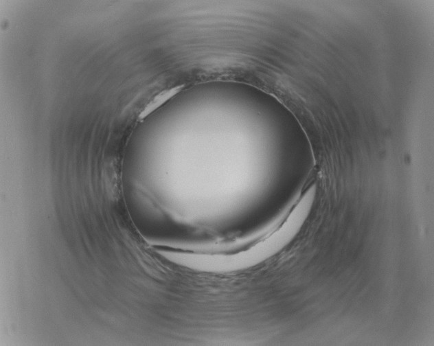 X0000073920868200609011807