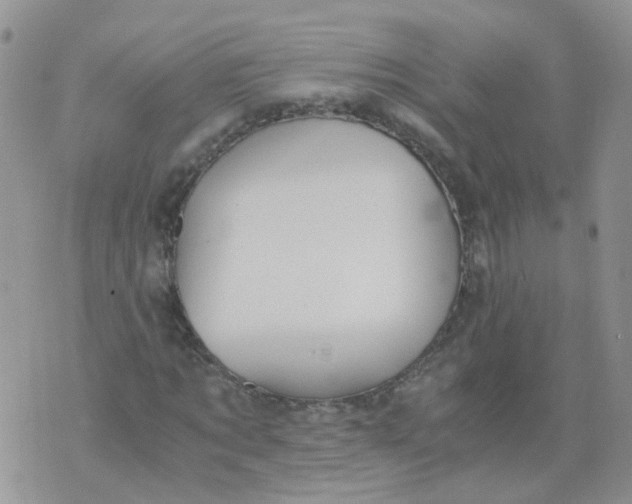 X0000073920869200609011806