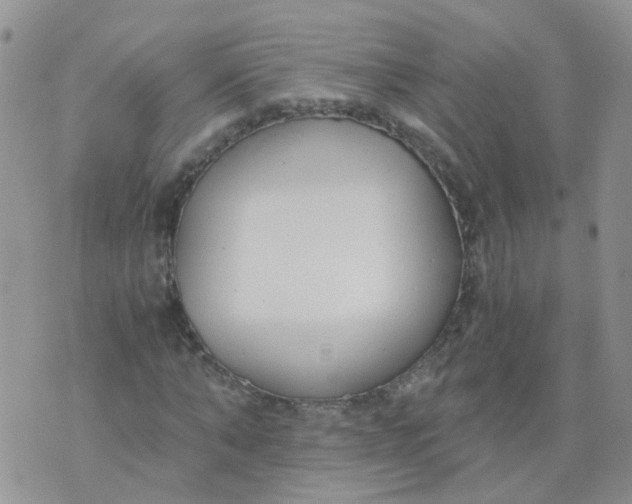 X0000073920870200609011806