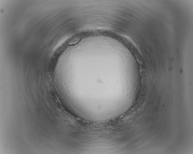 X0000073920871200609011806