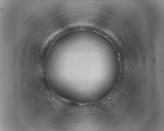 X0000073920872200609011806