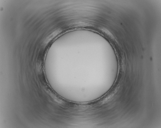 X0000073920873200609011806