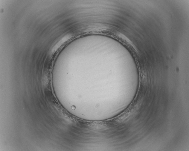 X0000073920874200609011806