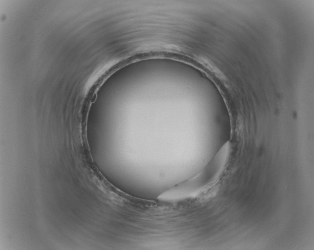 X0000073920877200609011806