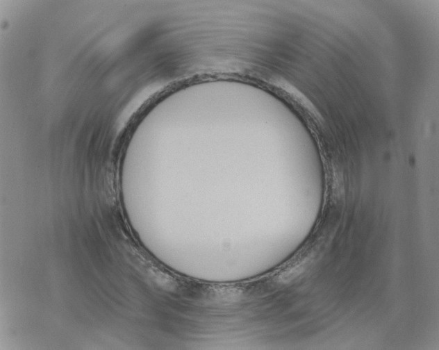 X0000073920878200609011806