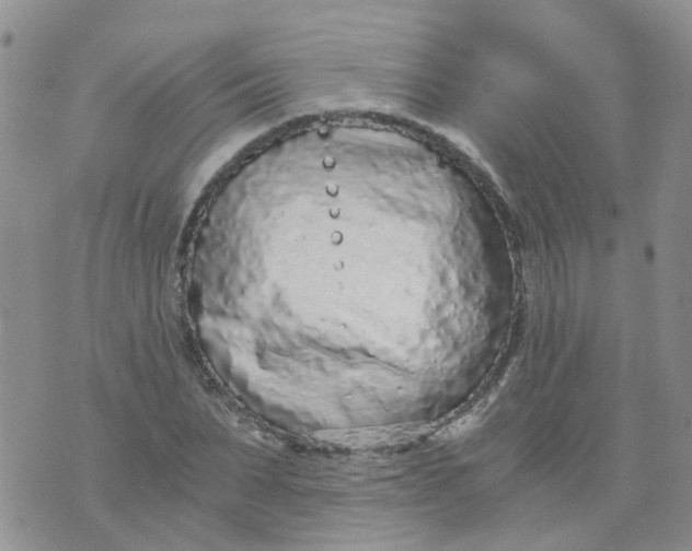 X0000073920879200609011806