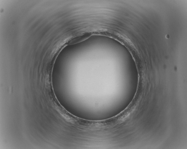 X0000073920881200609011806