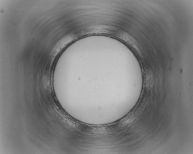 X0000073920882200609011806